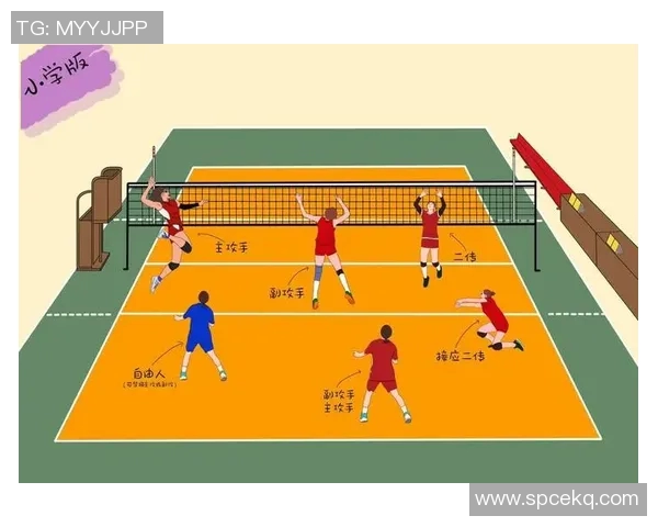 深圳排球队整体压制战术解析与未来发展展望